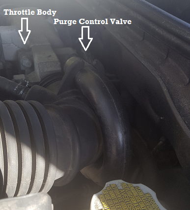 油门主体后面的清除控制阀的位置